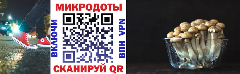 Галлюциногенные грибы прущие грибы  Себеж 